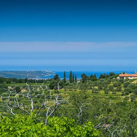 Nila * Umag